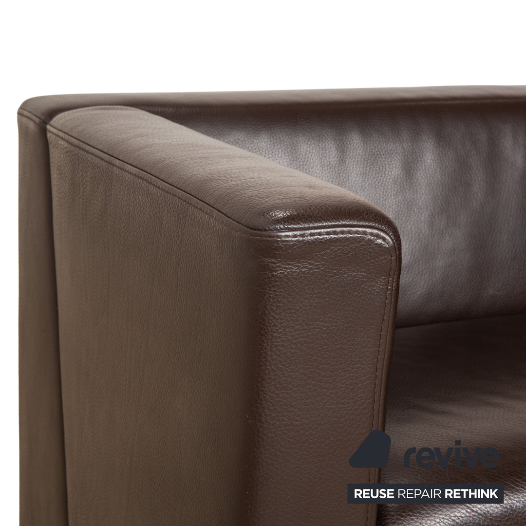 Brühl Visavis Leder Zweisitzer Dunkelbraun Kaffee Sofa Couch