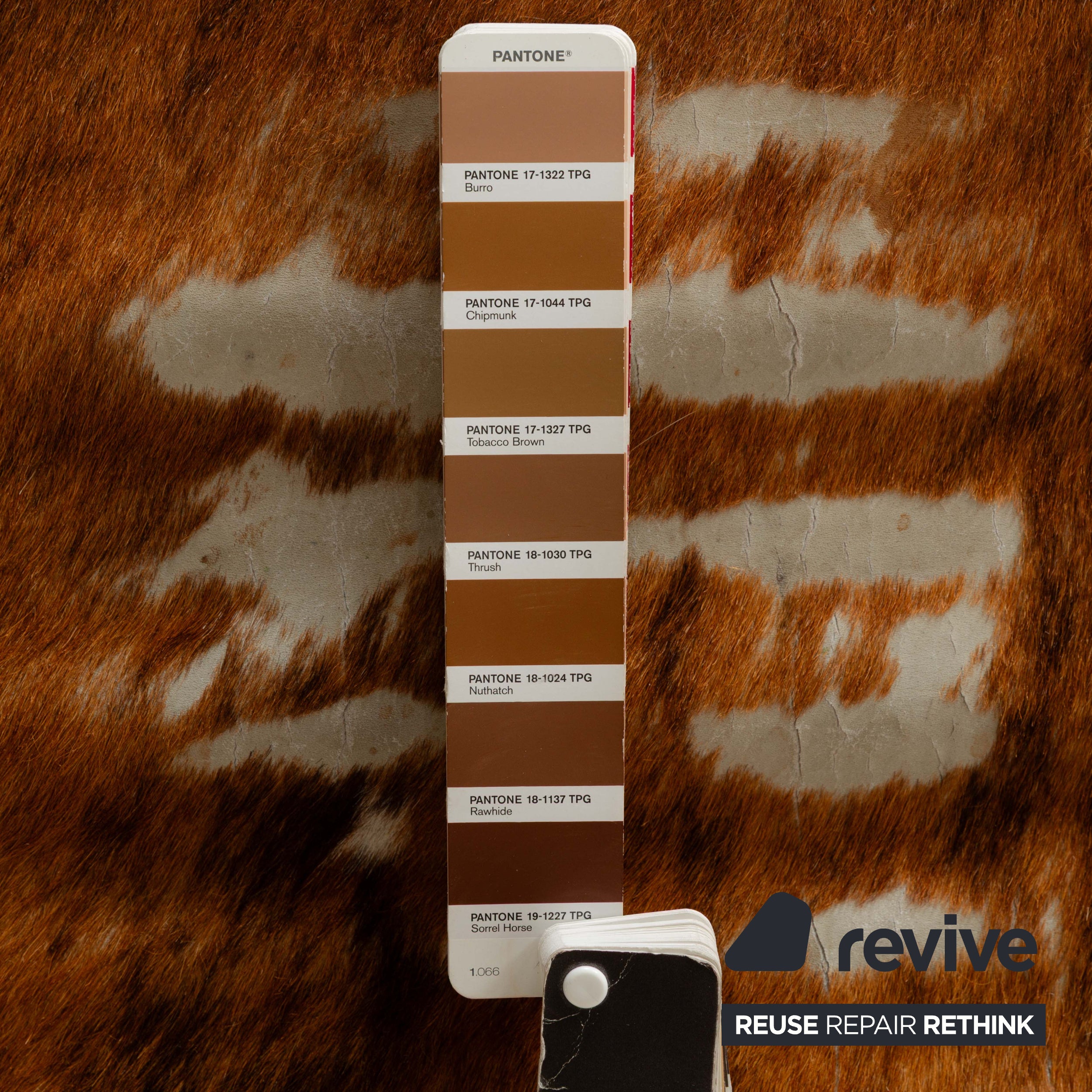 Fauteuil Cassina Le Corbusier LC 1 en fourrure de vache marron Bauhaus