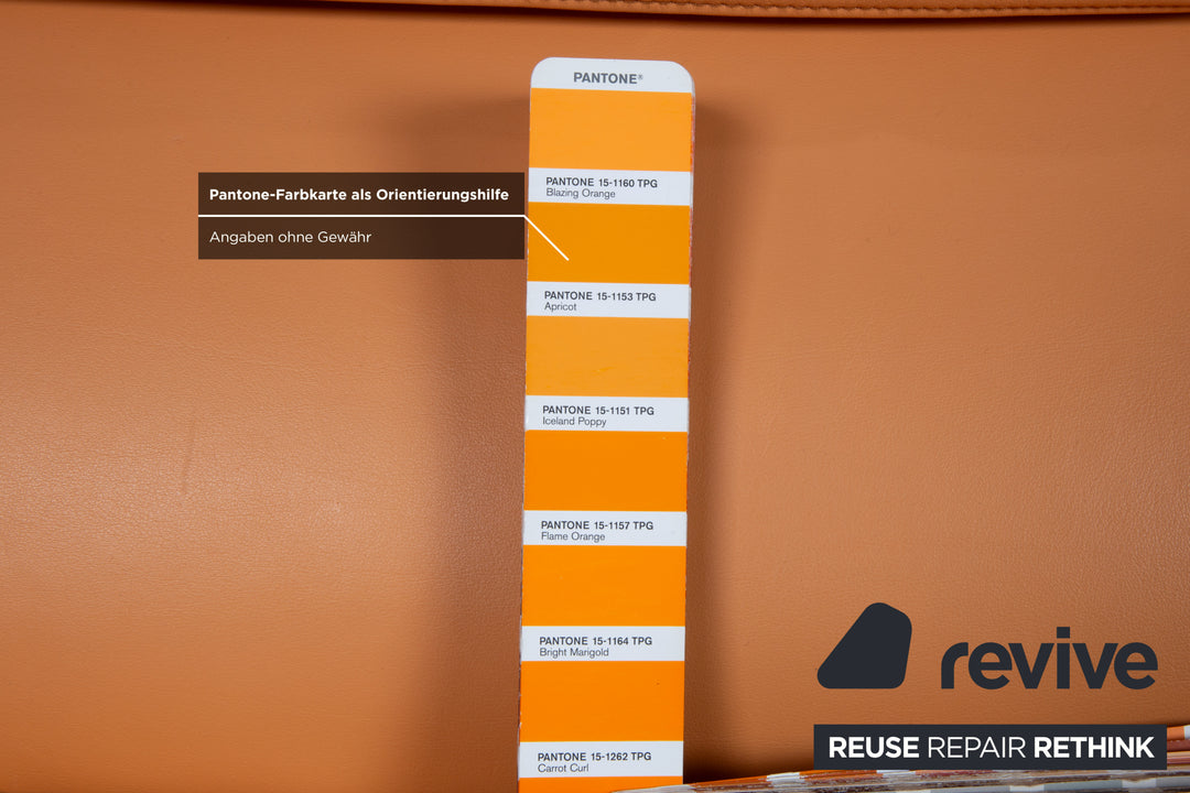 de Sede DS-2011 Leder Zweisitzer  Orange Sofa Couch