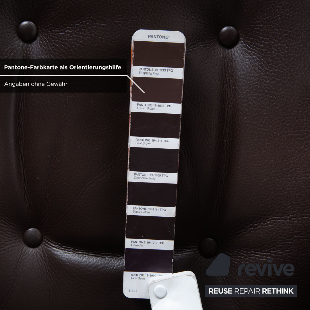 Erpo Leather Armchair Brown Dark Brown