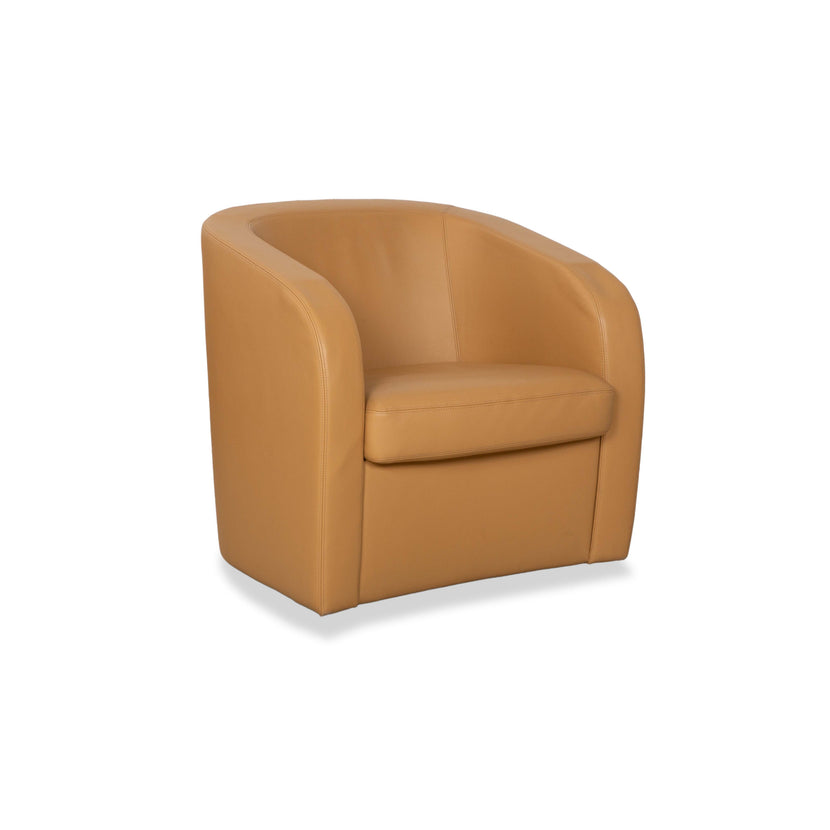 Erpo Leather Armchair Brown Beige Cognac Vintage