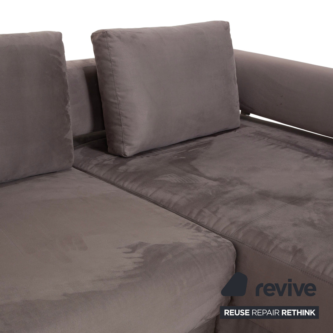 Ewald Schillig Brand Face Canapé d'angle en tissu velours Gris Beige Canapé Canapé