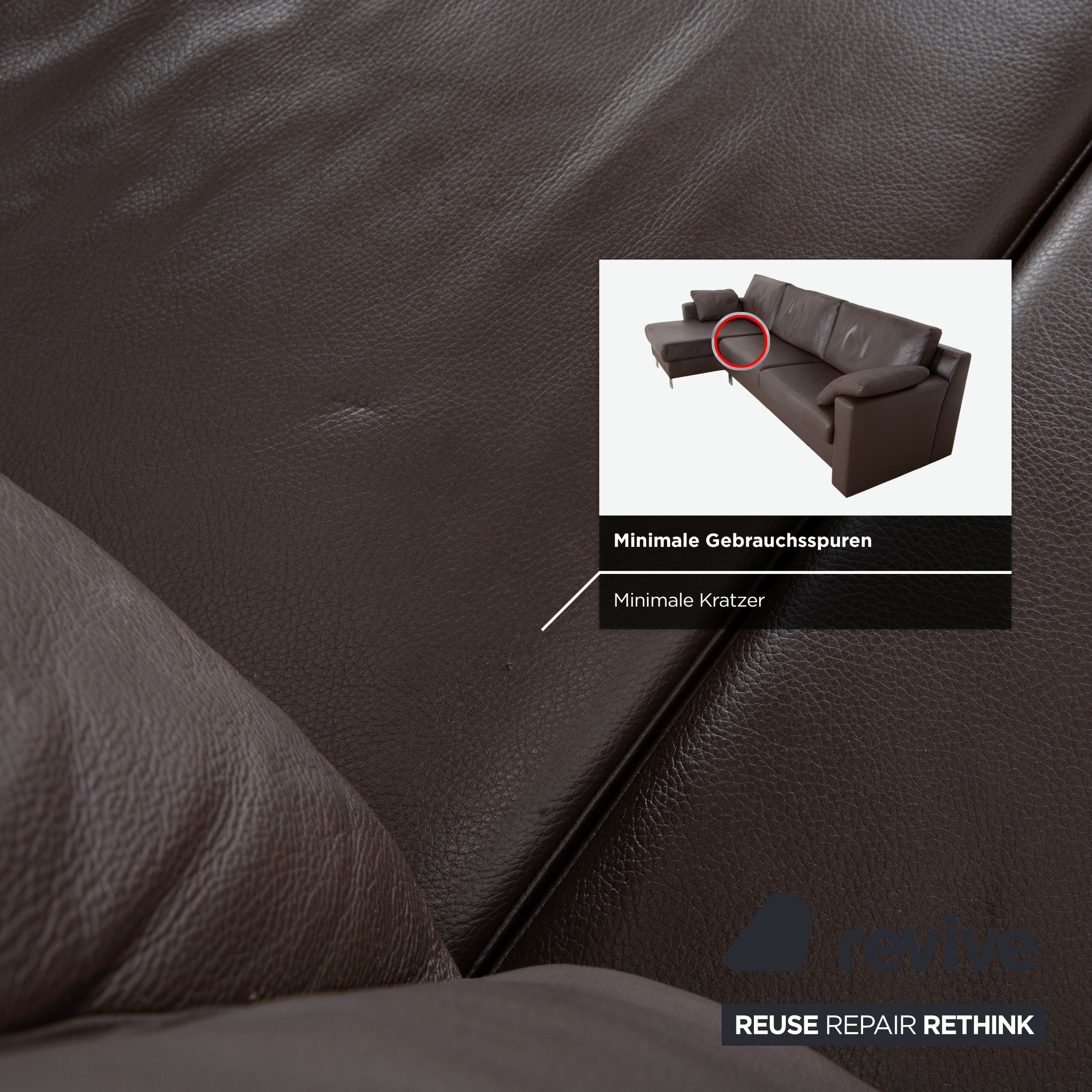 Ewald Schillig Concept Plus Leder Ecksofa Braun Mocca