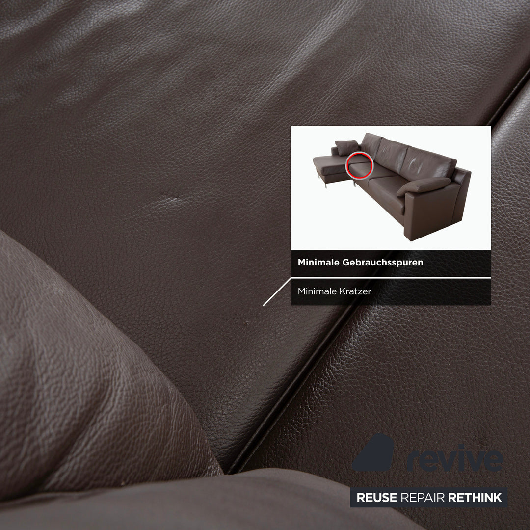 Ewald Schillig Canapé d'angle Concept Plus en cuir marron moka
