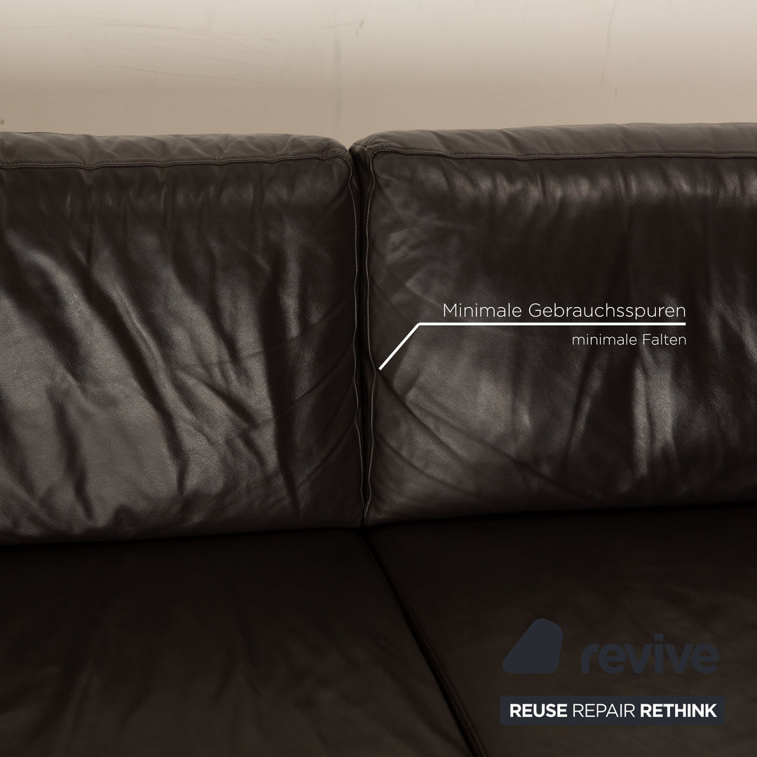 Ewald Schillig Concept Plus Leder Sofa Garnitur Dunkelbraun Ecksofa  Recamiere Rechts