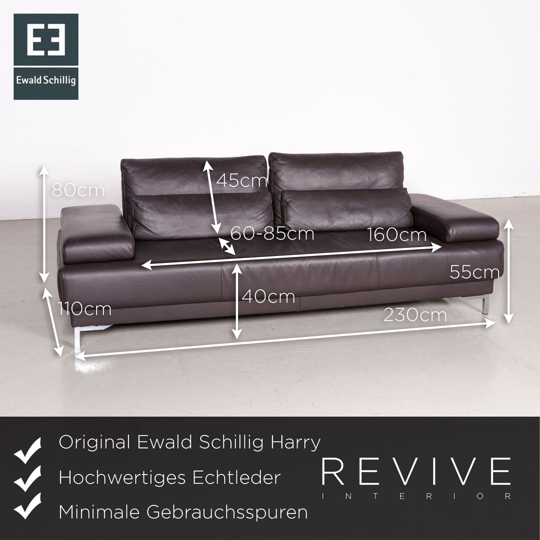Ewald Schillig Harry Designer Leder Sofa Braun Echtleder Dreisitzer Couch #7440