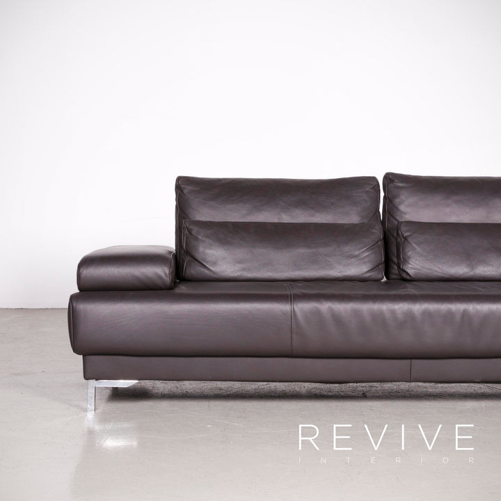 Ewald Schillig Harry Designer Leder Sofa Braun Echtleder Dreisitzer Couch #7440