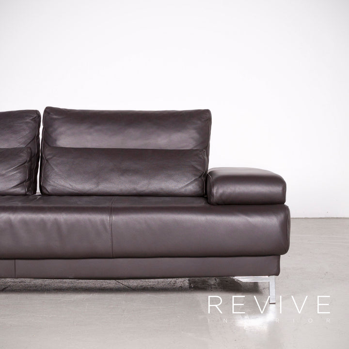 Ewald Schillig Harry Designer Leder Sofa Braun Echtleder Dreisitzer Couch #7440