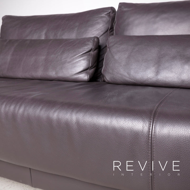 Ewald Schillig Harry Designer Leder Sofa Braun Echtleder Dreisitzer Couch #7440