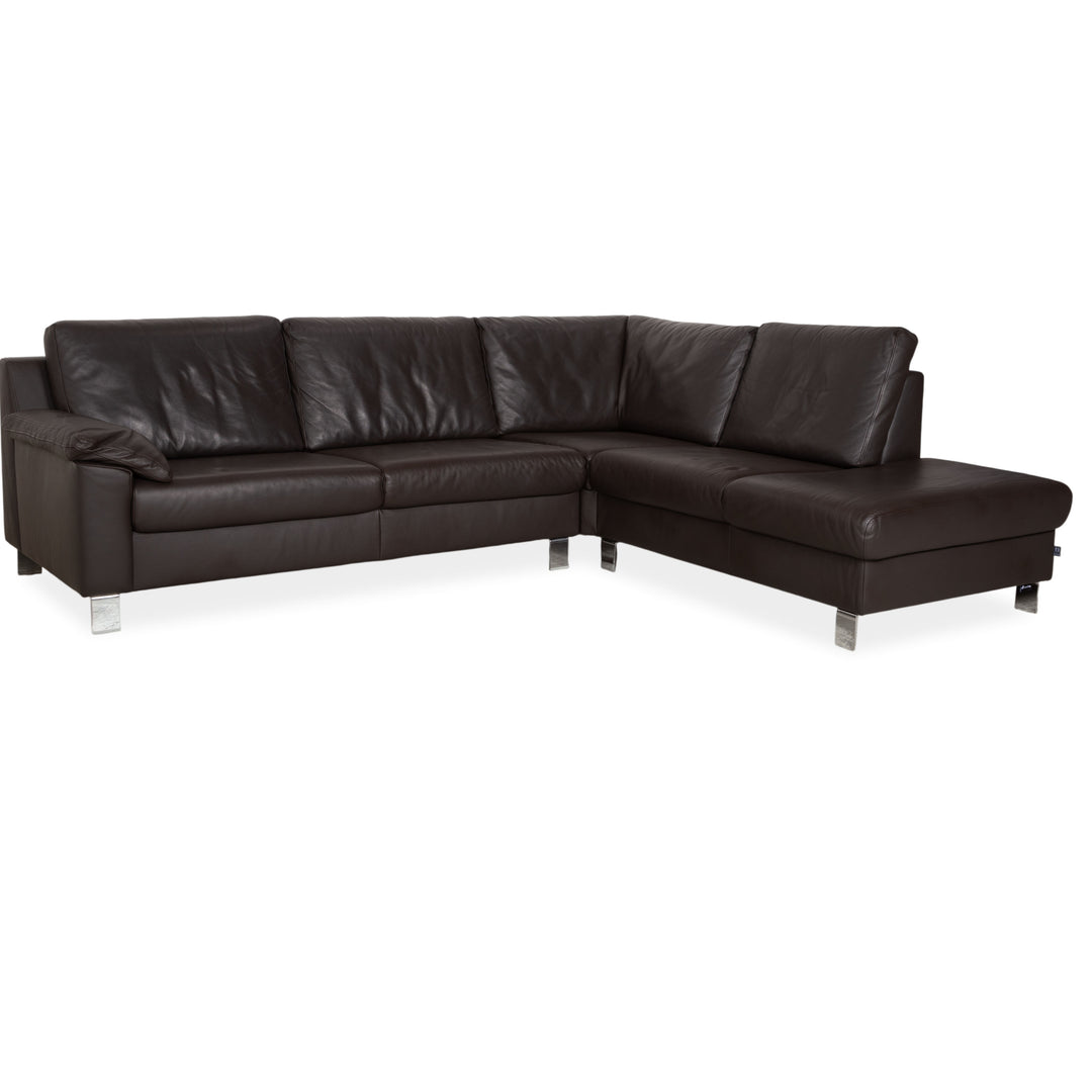 Ewald Schillig Leder Sofa Dunkelbraun Sofa Couch