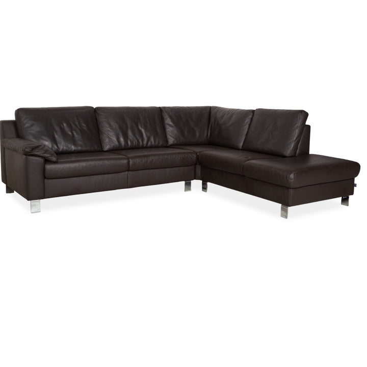 Ewald Schillig Leder Sofa Dunkelbraun Sofa Couch