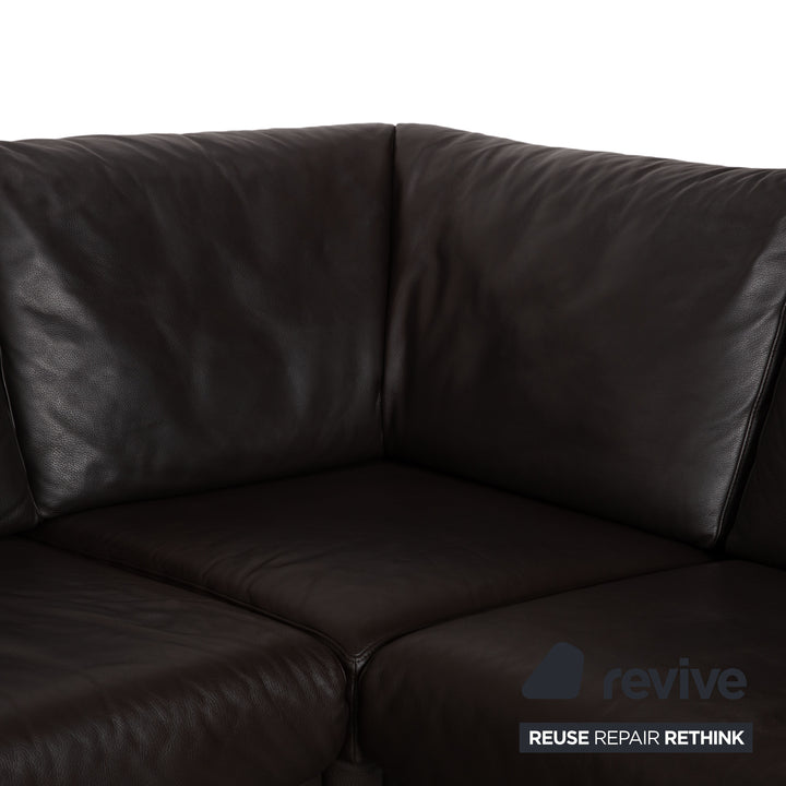 Ewald Schillig Leder Sofa Dunkelbraun Sofa Couch