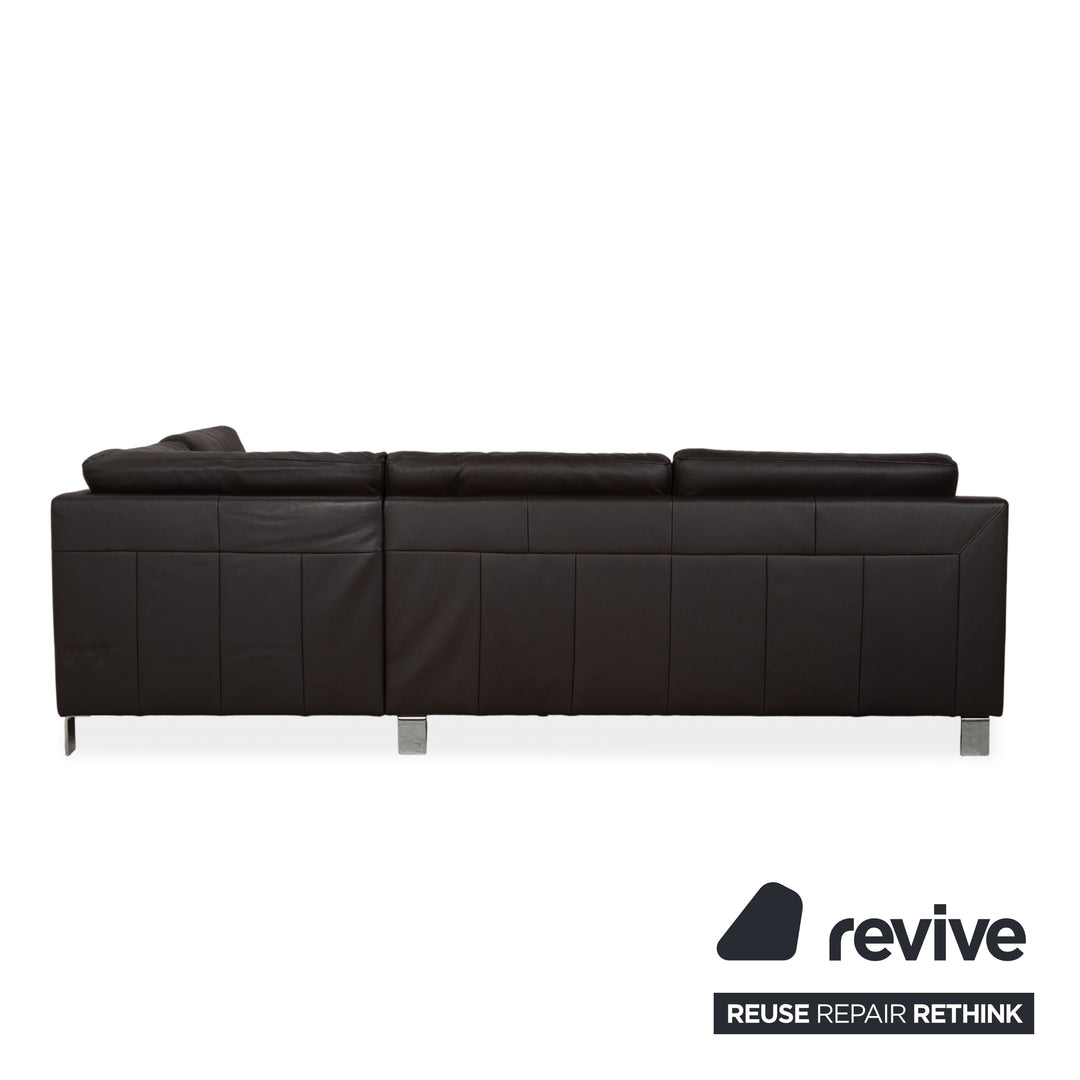 Ewald Schillig Leder Sofa Dunkelbraun Sofa Couch