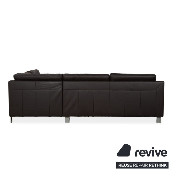 Ewald Schillig Leder Sofa Dunkelbraun Sofa Couch