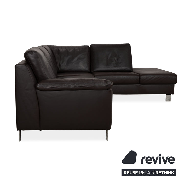 Ewald Schillig Leder Sofa Dunkelbraun Sofa Couch