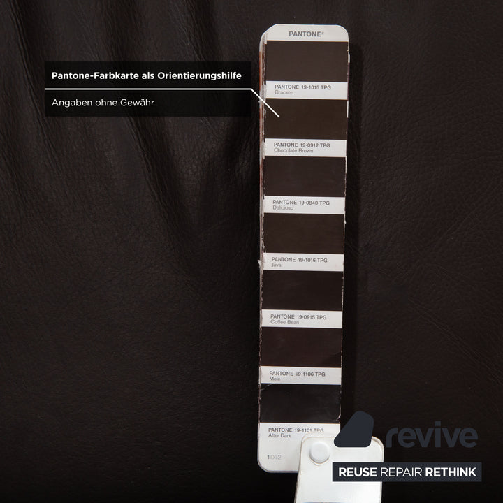 Ewald Schillig Leder Sofa Dunkelbraun Sofa Couch