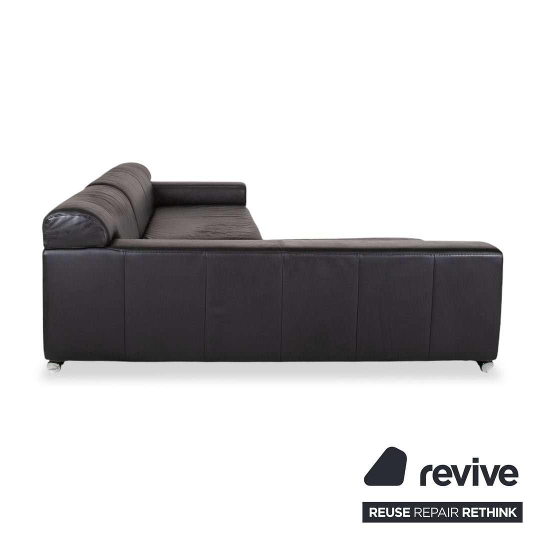 Ewald Schillig Loft Leder Ecksofa Schwarz Sofa Couch