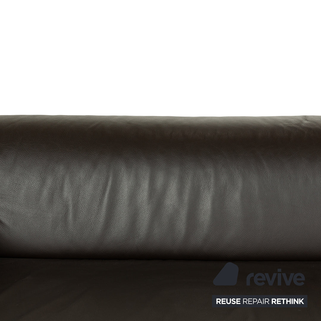 Ewald Schillig Loft Leather Four-Seater Brown Dark Brown Sofa Couch