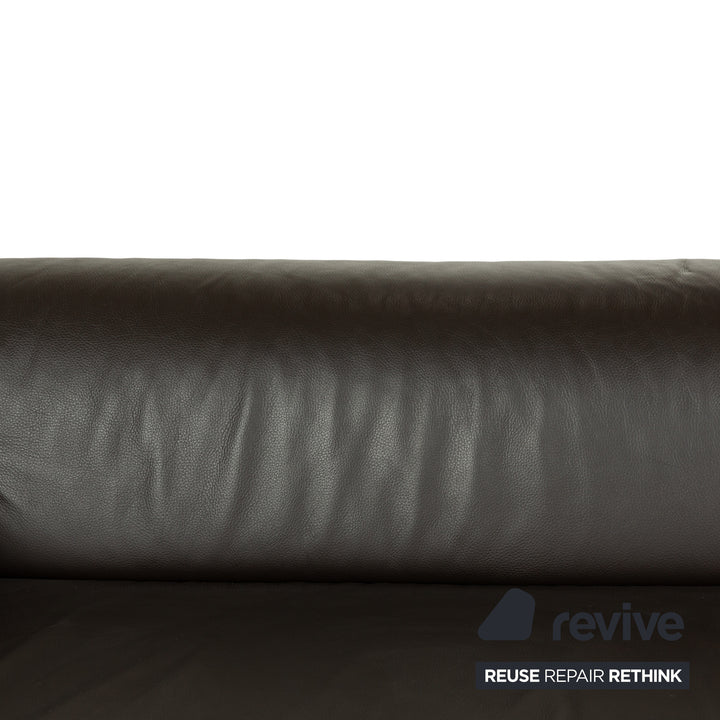 Ewald Schillig Loft Leather Four-Seater Brown Dark Brown Sofa Couch