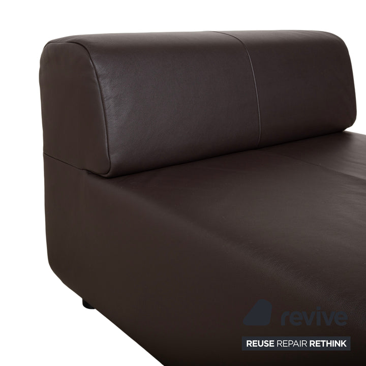 Freistil Rolf Benz 185 Leder Sessel Braun
