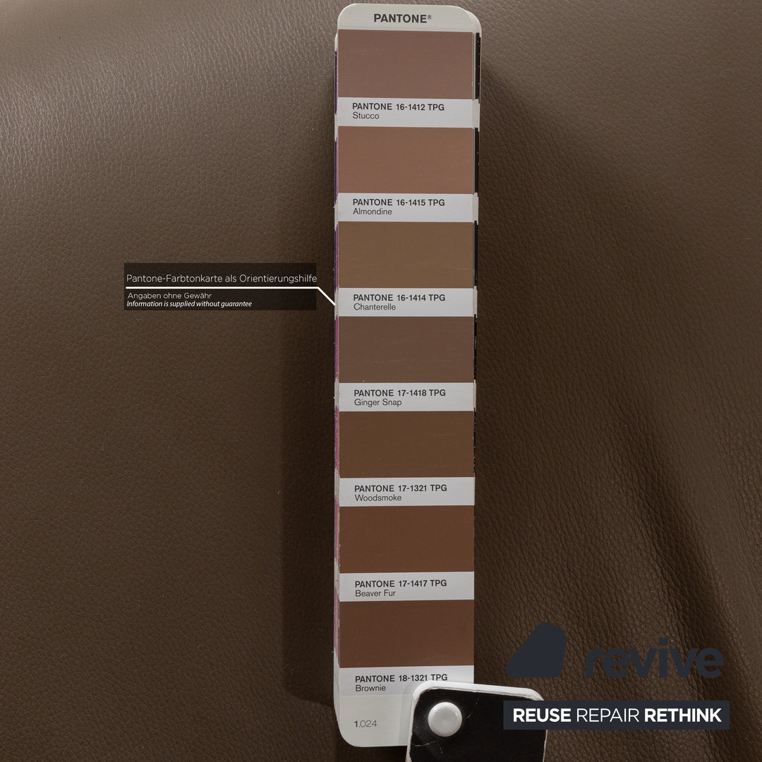 FSM Evolo Leather Armchair Brown Brown-Gray Electric Function