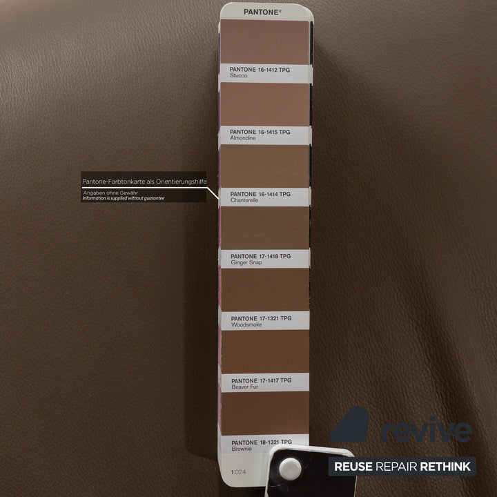 FSM Evolo Leather Armchair Brown Brown-Gray Electric Function