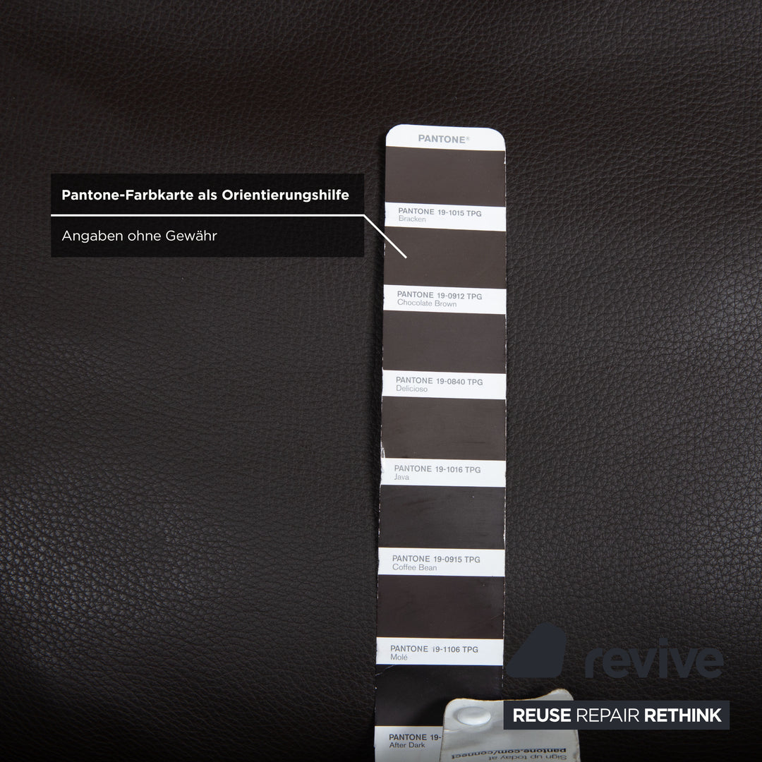 FSM Leder Sessel Braun Dunkelbraun