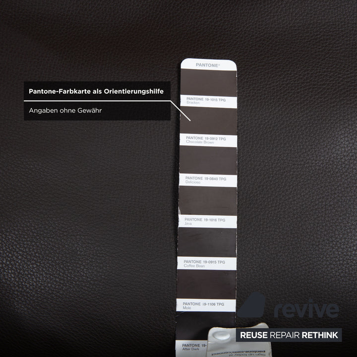 FSM Leder Sessel Braun Dunkelbraun