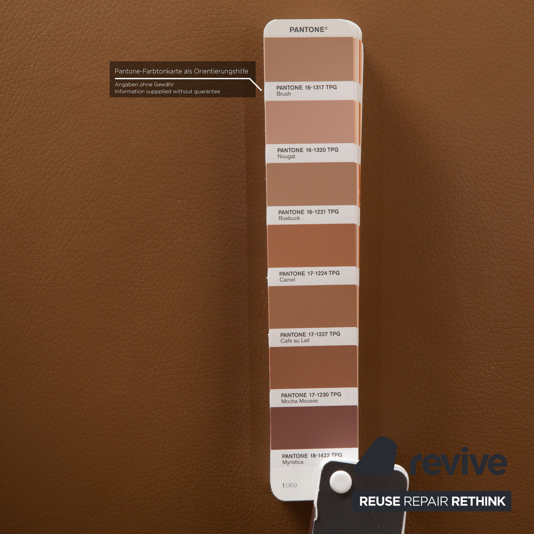 FSM Stand Up Leder Sessel Braun Camel elektrische Funktion Aufstehhilfe Akku