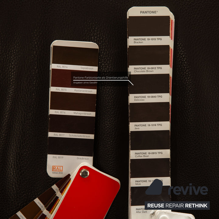 FSM stand up leather armchair dark brown electric function stand up aid battery