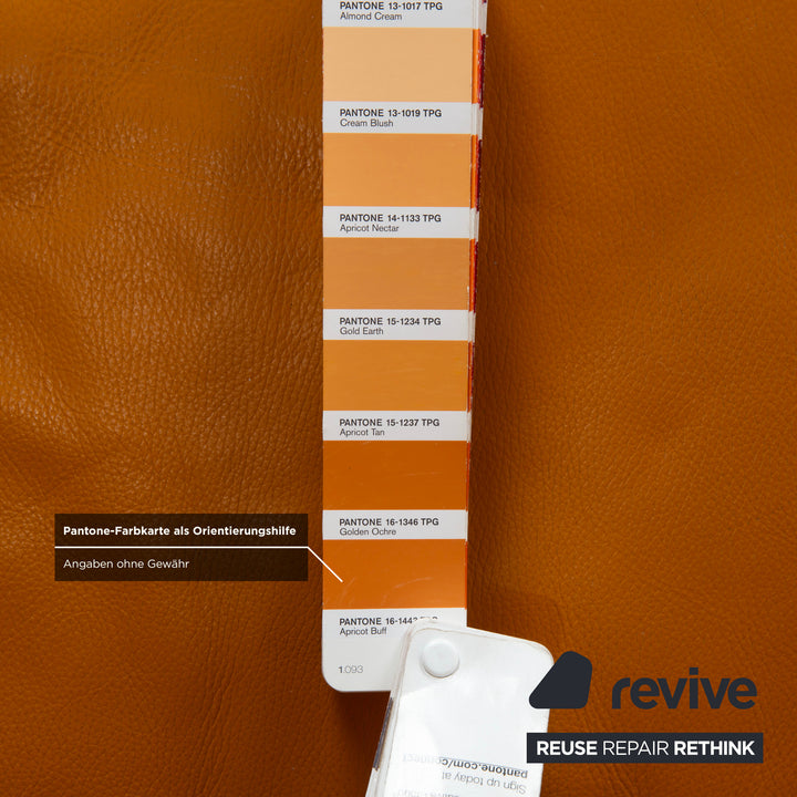 Himolla 9703 Leder Viersitzer Braun Orange Cognac Sofa Couch elektrische Funktion