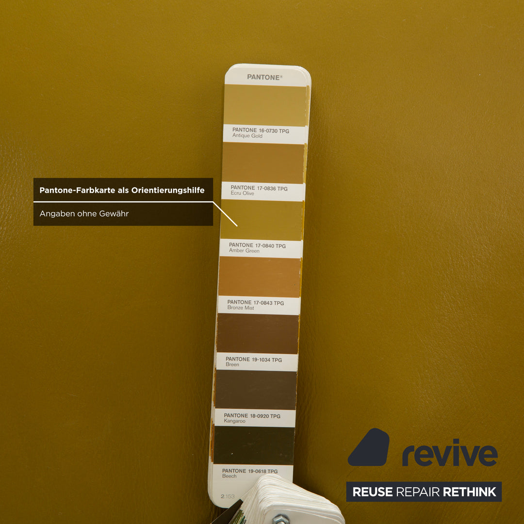 Koinor Jonas Liege Leder Gelb Grün elektrische Funktion