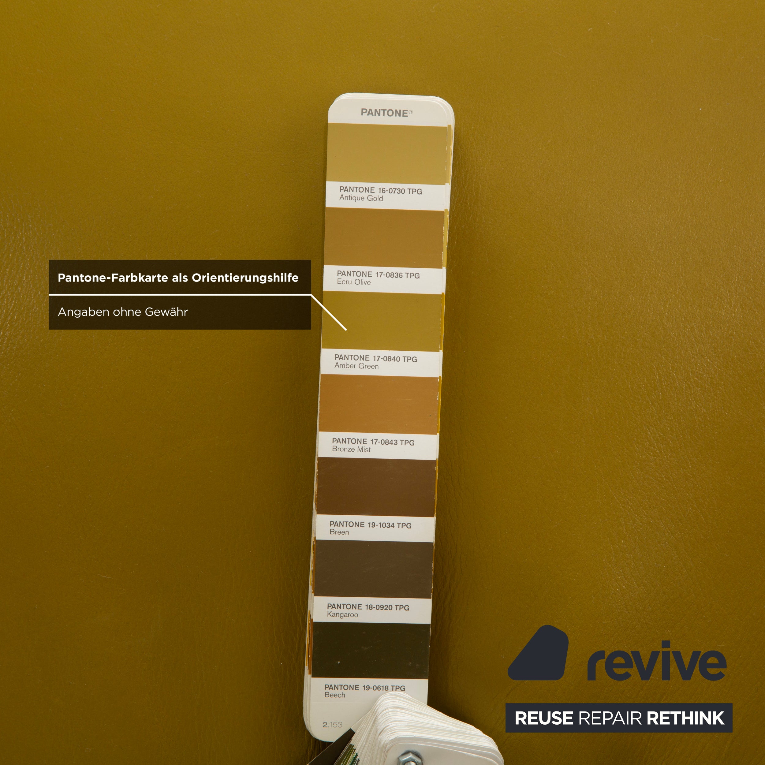 Koinor Jonas Liege Leder Gelb Grün elektrische Funktion