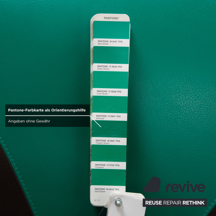 Leolux Pallone Leder Sessel Grün Dunkelgrau Taupe