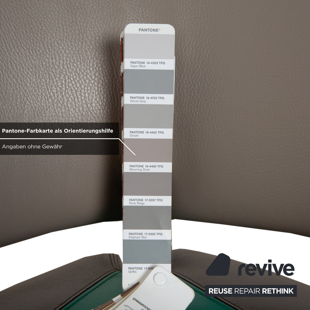 Leolux Pallone Leder Sessel Grün Dunkelgrau Taupe