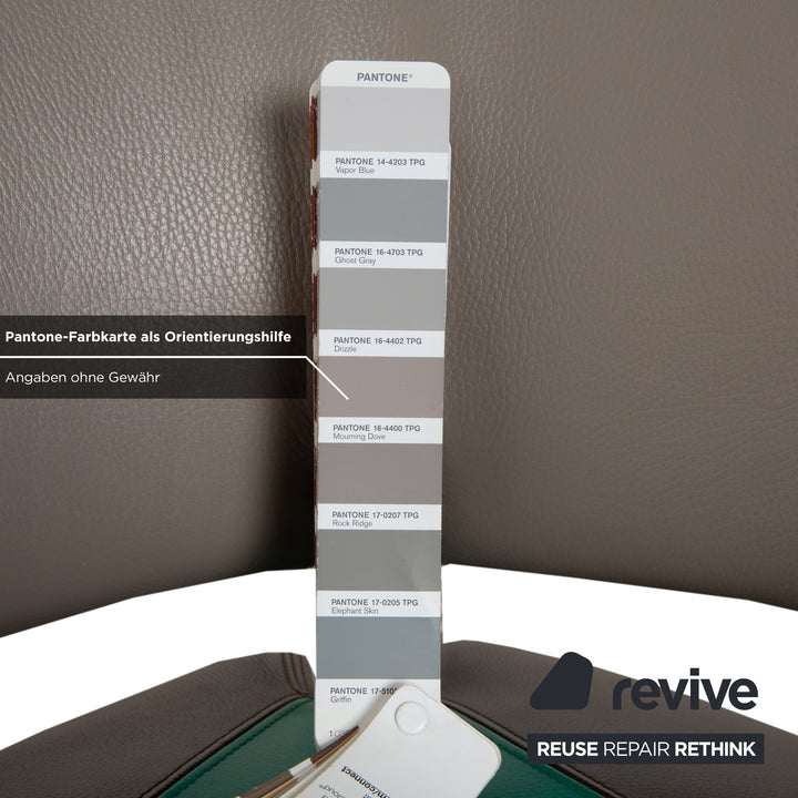 Leolux Pallone Leder Sessel Grün Dunkelgrau Taupe