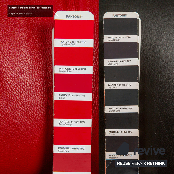 Leolux Pallone Fauteuil en Cuir Noir Rouge