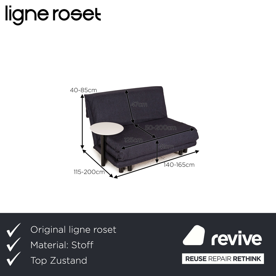 Ligne Roset Multy Fabric Sofa Gray Two Seater Couch Function Sleep Function