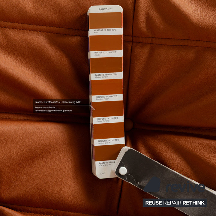 Ligne Roset Togo Sessel Textilleder Vegan Braun Cognac Neubezug