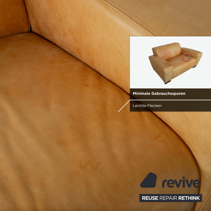 Machalke Leder Sessel Gelb Cognac