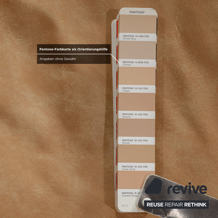 Machalke Valentino Leder Sessel Braun Beige