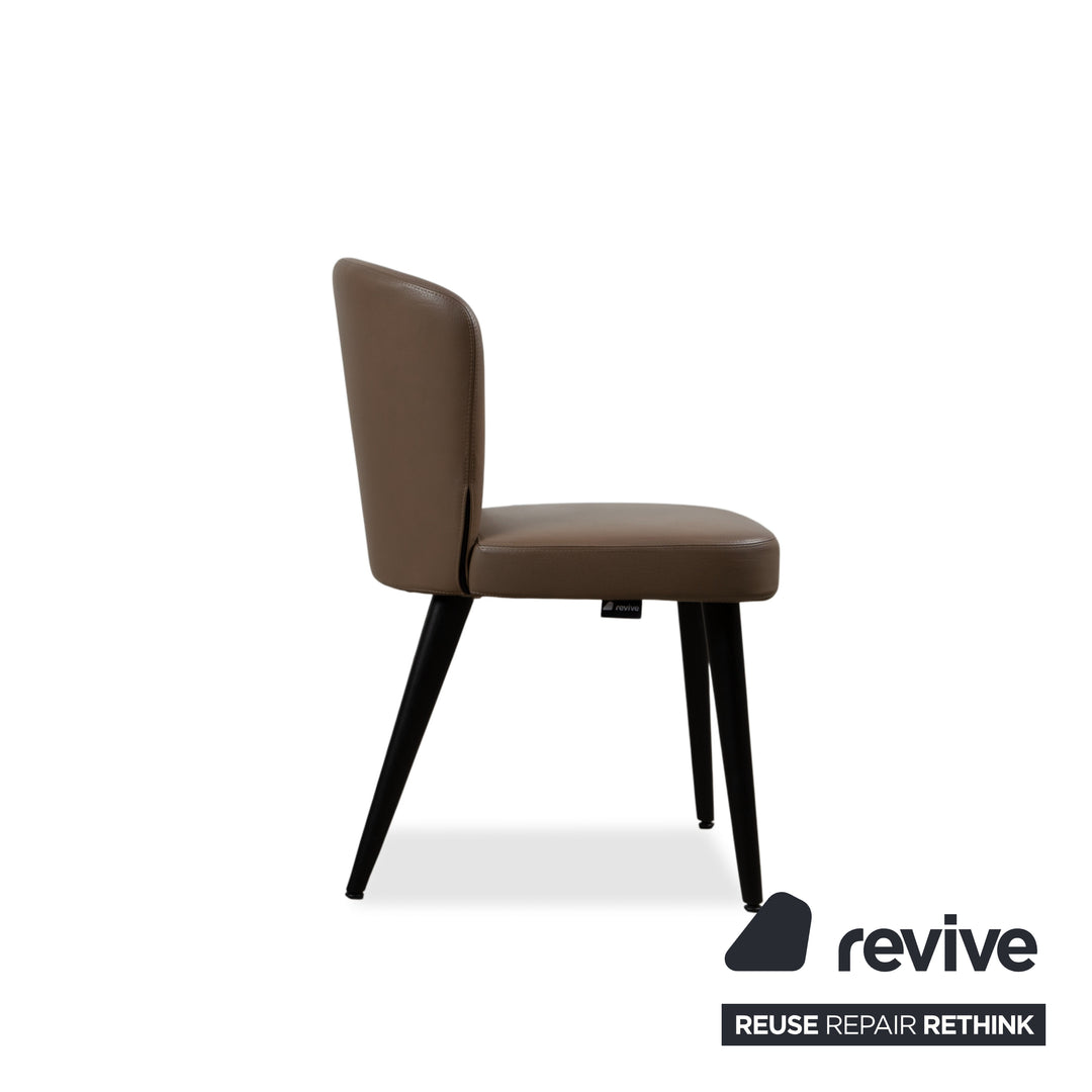 Minotti Aston Leather Chair Brown Coffee Dining Room