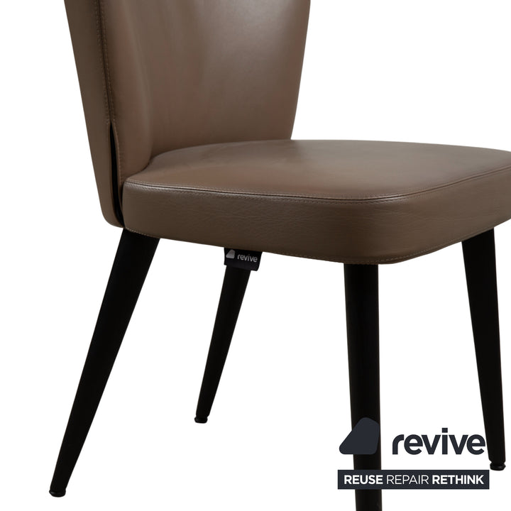 Minotti Aston Leather Chair Brown Coffee Dining Room