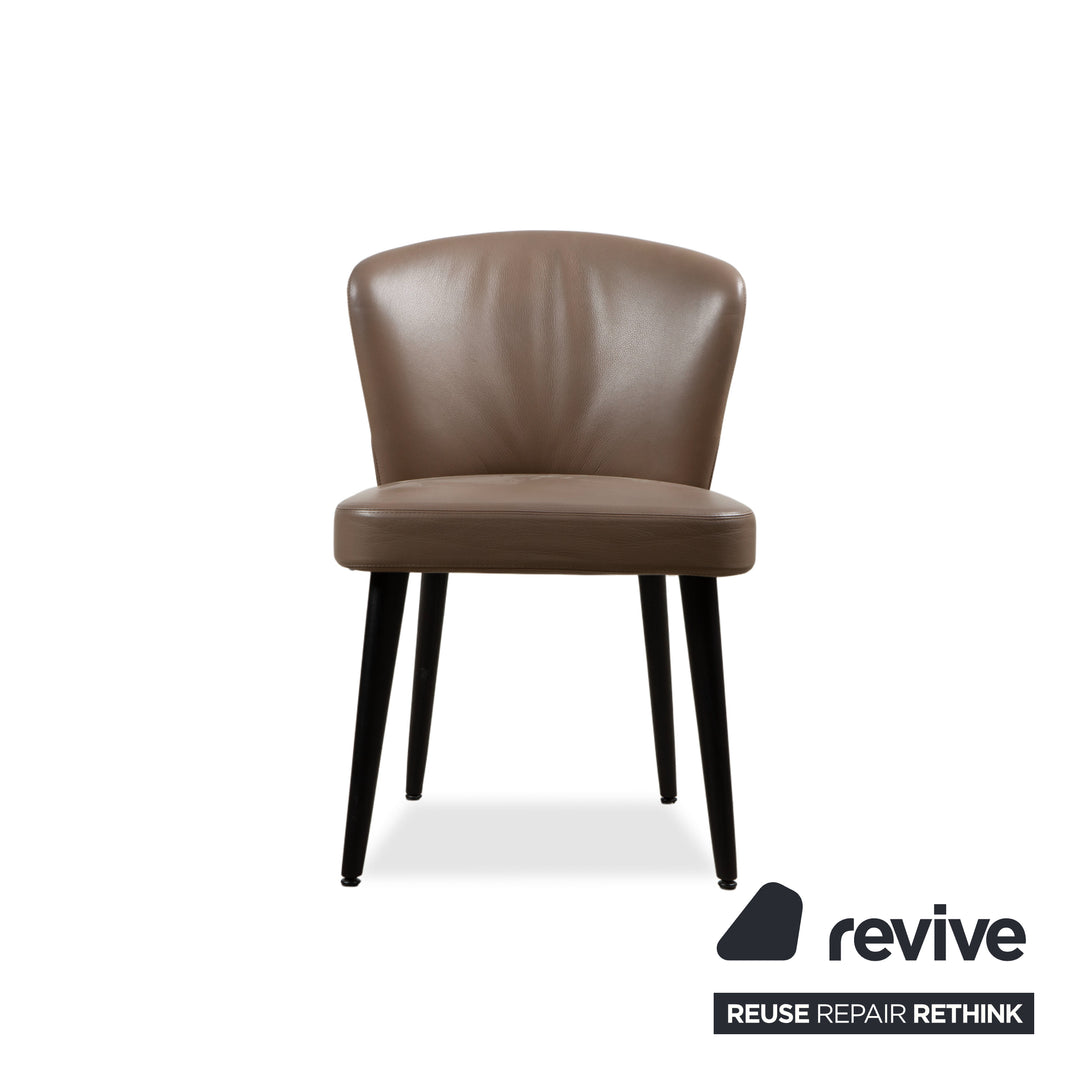 Minotti Aston Leather Chair Brown Coffee Dining Room