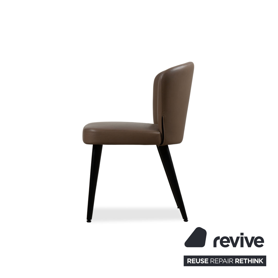 Minotti Aston Leather Chair Brown Coffee Dining Room