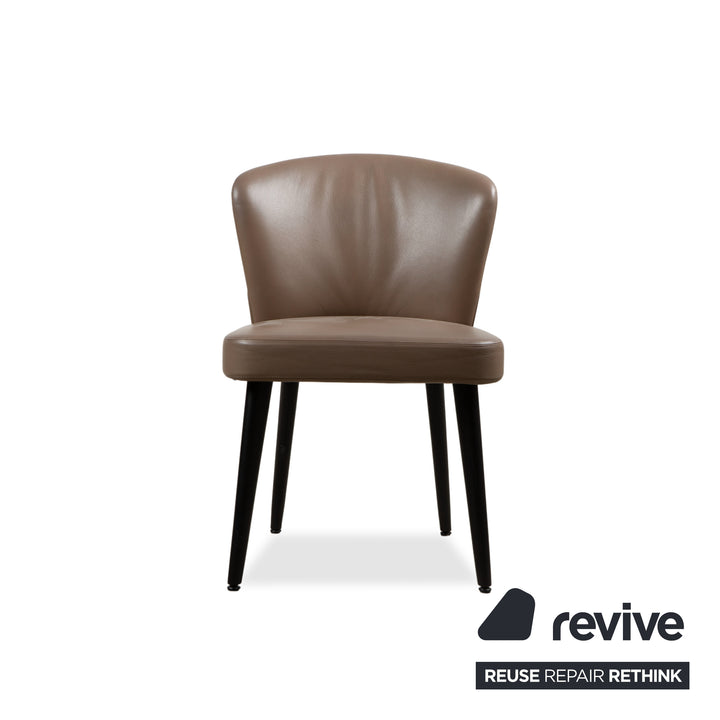 Minotti Aston Leather Chair Brown Coffee Dining Room