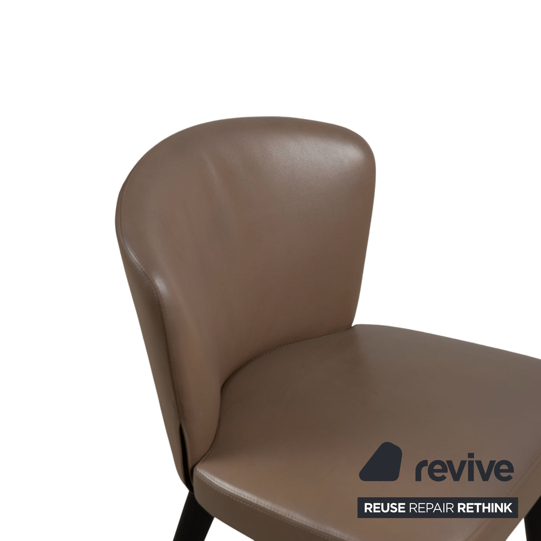 Minotti Aston Leather Chair Brown Coffee Dining Room