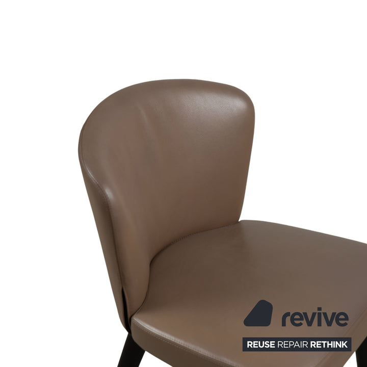 Minotti Aston Leather Chair Brown Coffee Dining Room