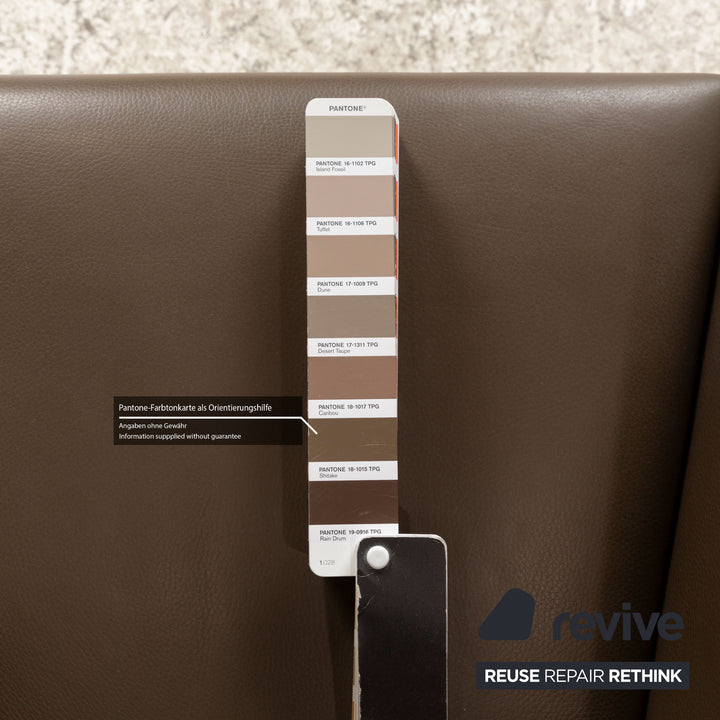 Montis Windy Leather Armchair Brown