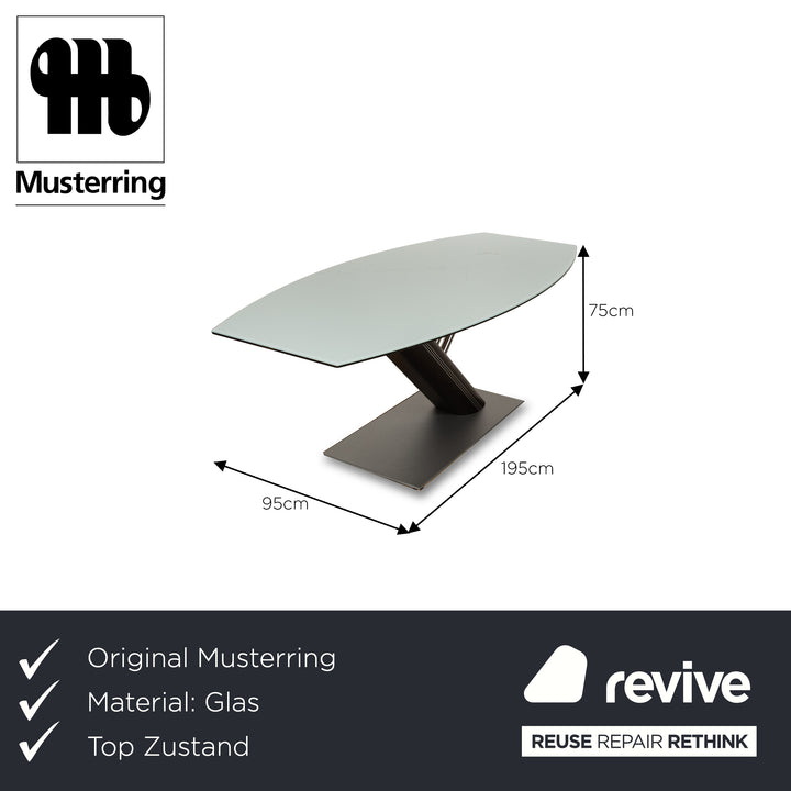 Musterring Glass Dining Table Silver 195 x 95 x 75 cm